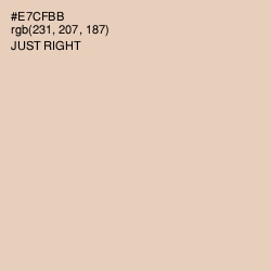 #E7CFBB - Just Right Color Image